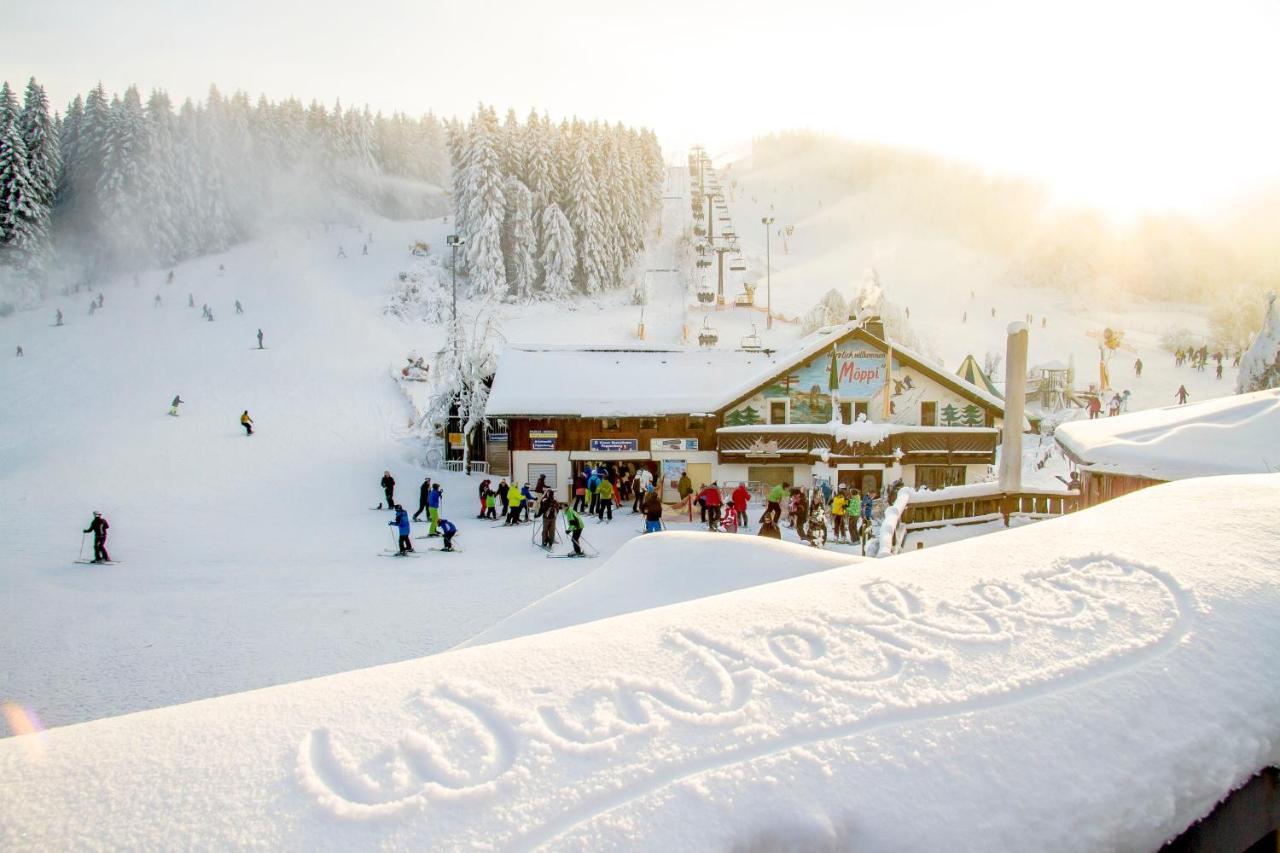 The Suite Winterberg Deluxe: Ski-to-Market Luxury with Garden Exterior photo