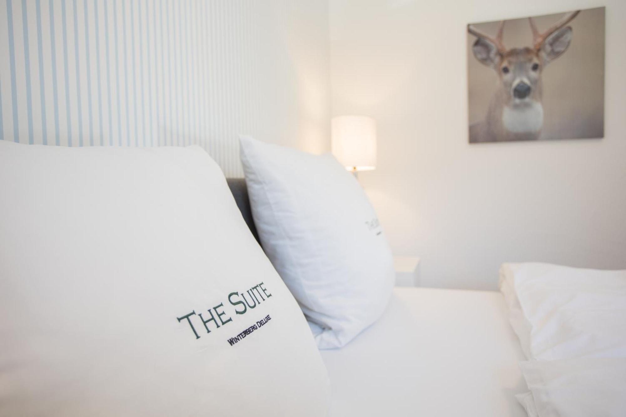 The Suite Winterberg Deluxe: Ski-to-Market Luxury with Garden Exterior photo